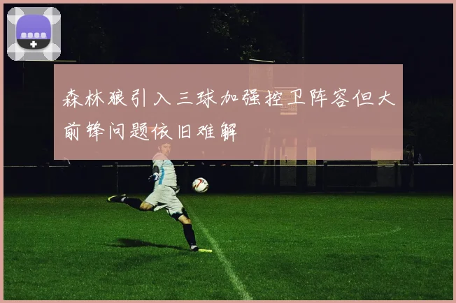 森林狼引入三球加强控卫阵容但大前锋问题依旧难解