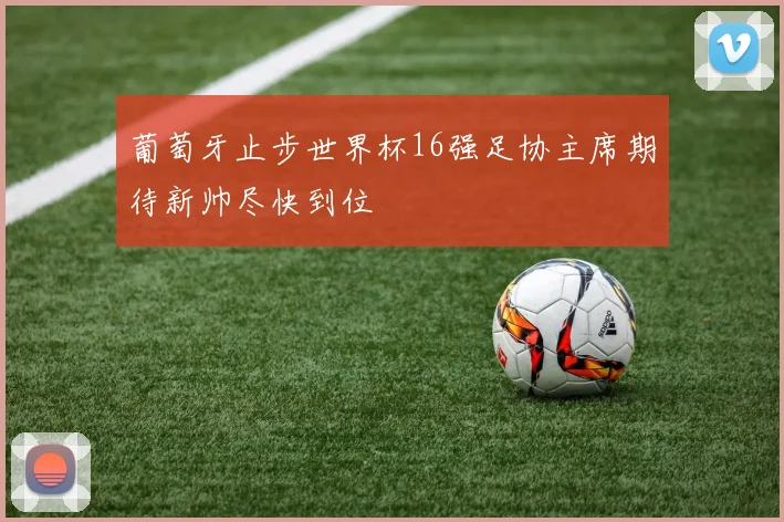 葡萄牙止步世界杯16强足协主席期待新帅尽快到位