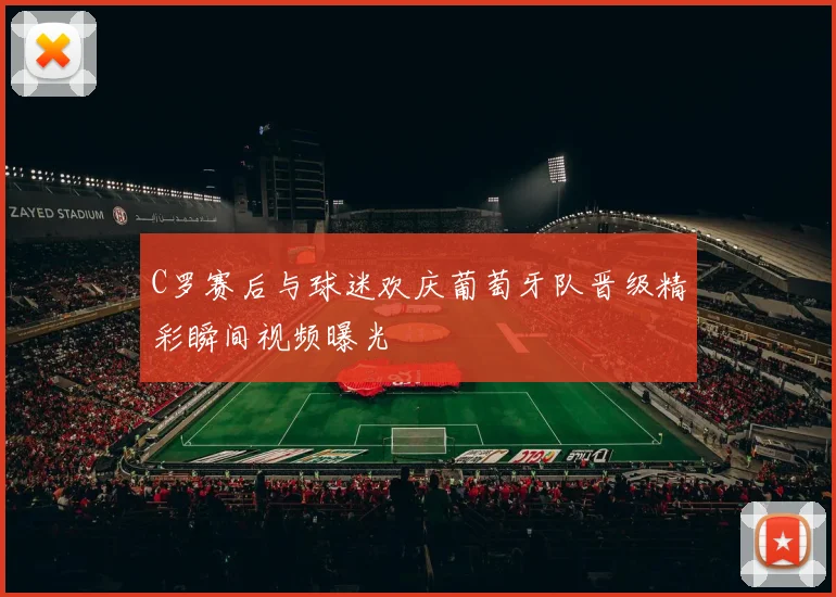 C罗赛后与球迷欢庆葡萄牙队晋级精彩瞬间视频曝光